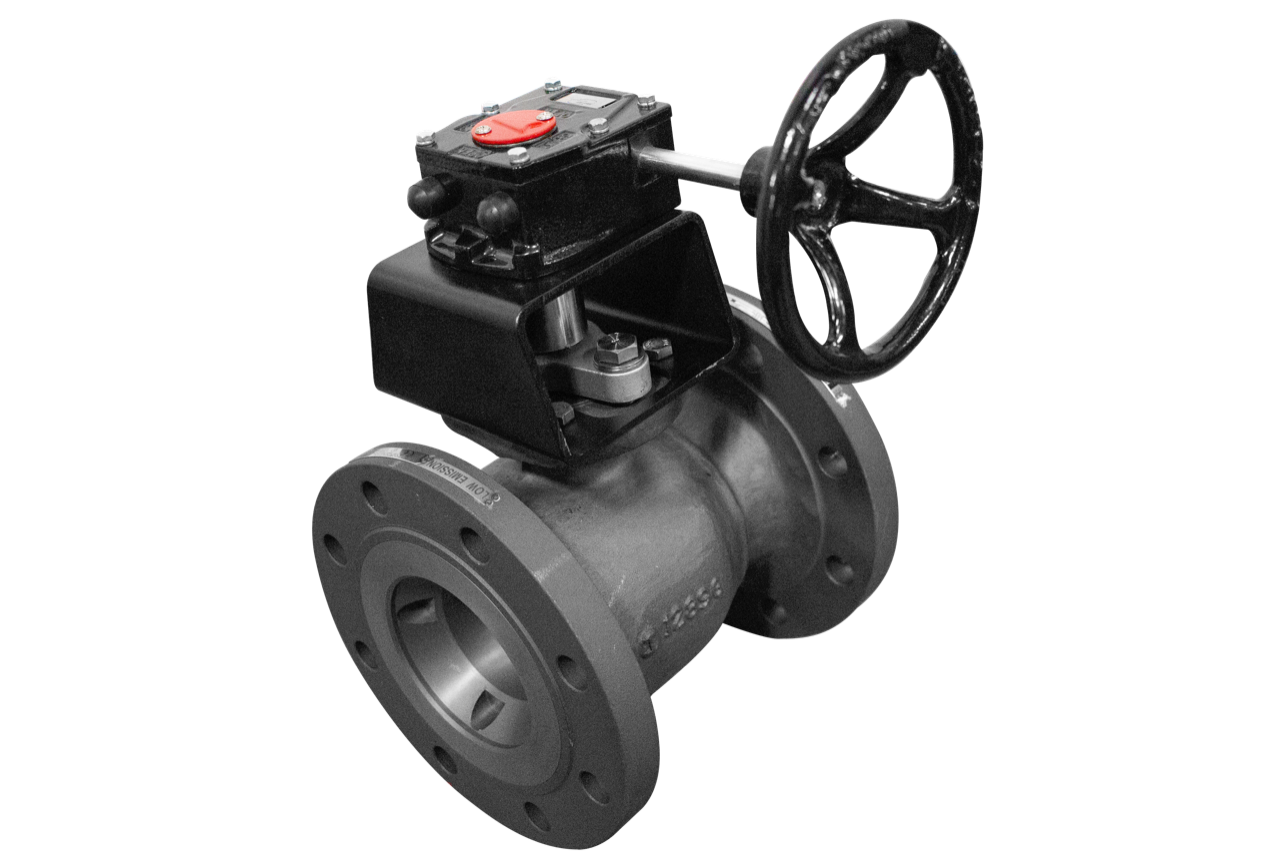 Manual Gear Operated Ball Valve
