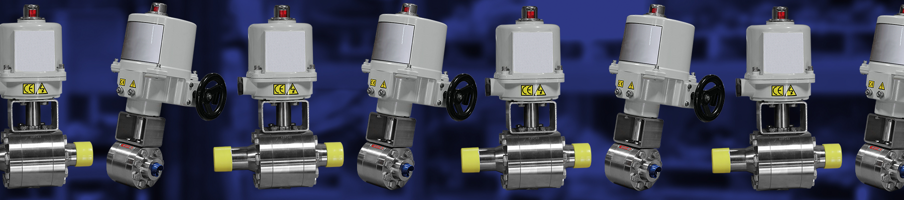 Electric Ball Valves w/ SS Kits