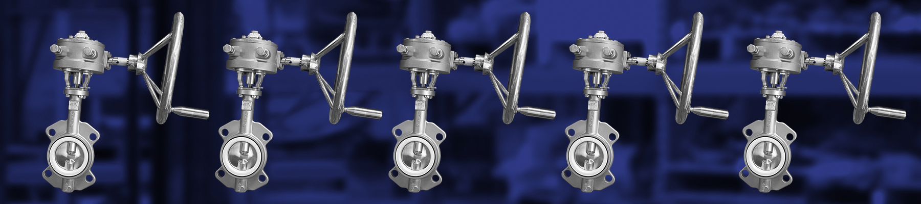 SS Gear Operated Butterfly Valve